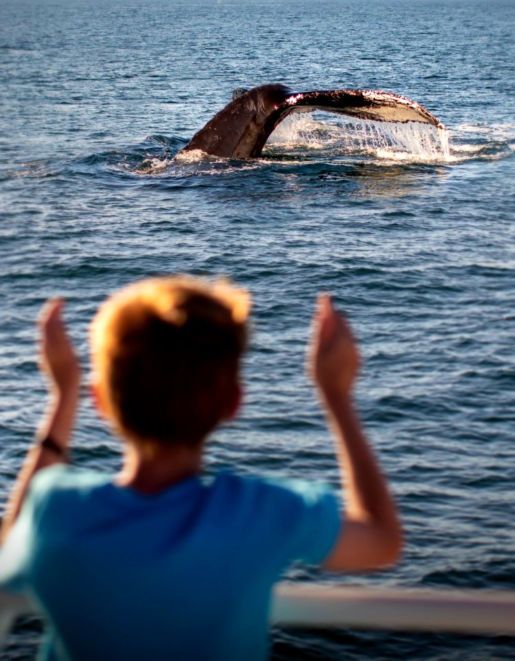 SBNMS Whale Watching