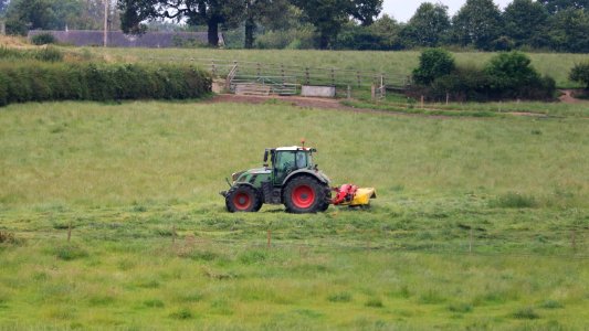 The smell of new-mown grass photo