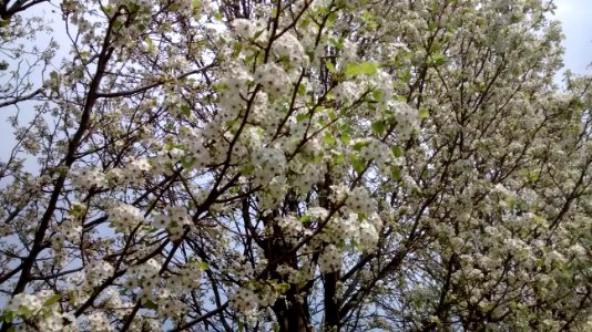 IMG 20150505 110926988