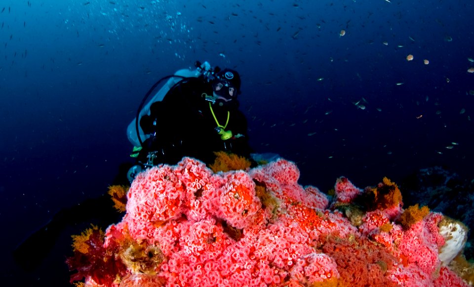 CBNMS - Diver Sampling