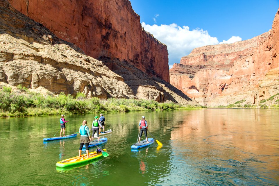 Paddle board brigade
