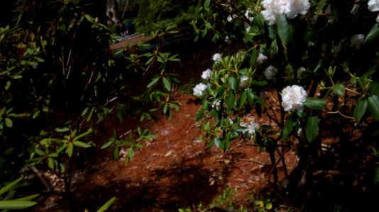 IMG 20150512 133642336