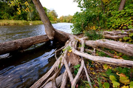The Credit River, Streetsville photo