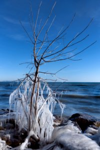 Lake Ontario photo