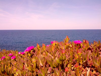 Porto Ferro