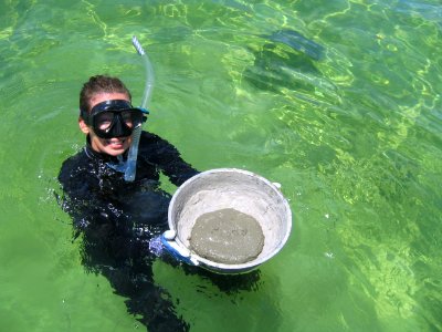 FKNMS - reef restoration photo