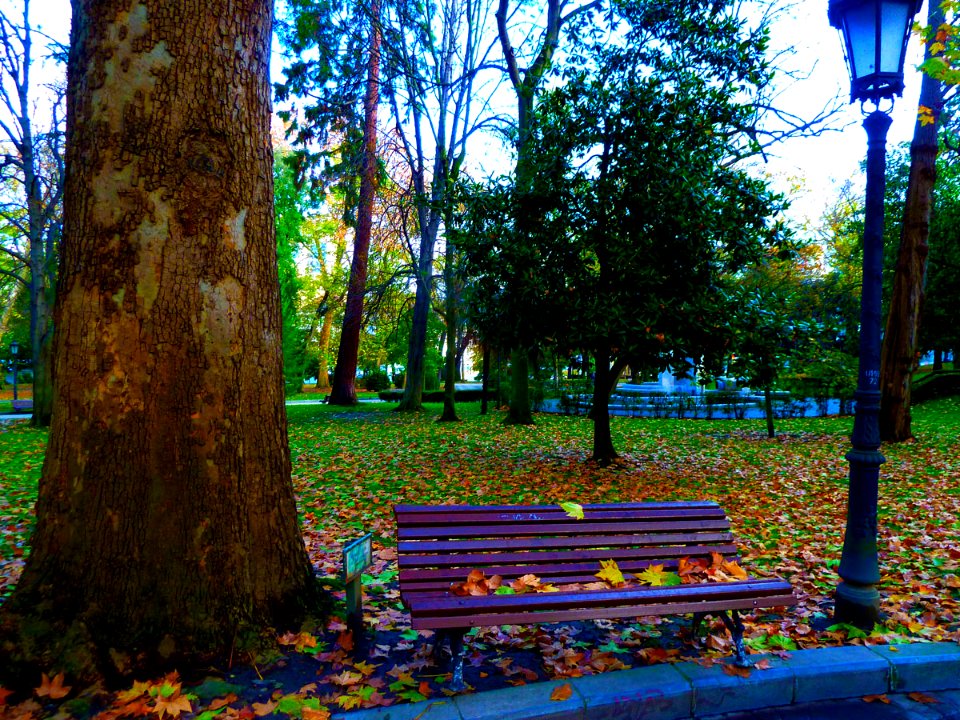 Campo de San Francisco
