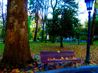 Campo de San Francisco