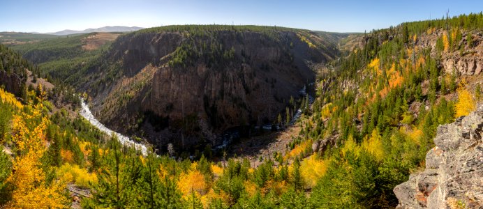 Fall colors in the Gardner River Canyon