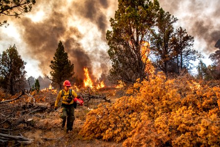 Trout Springs Rx Fire photo