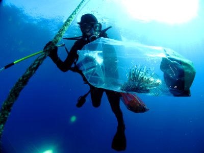 FGBNMS - Michelle Johnston With Lionfish