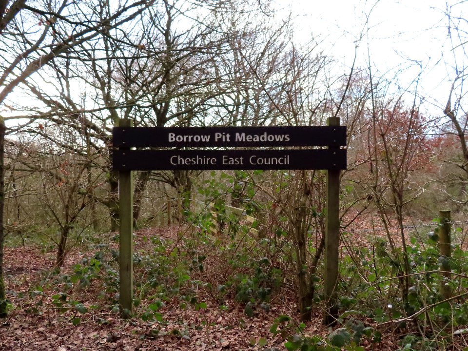 Borrow Pit Meadows