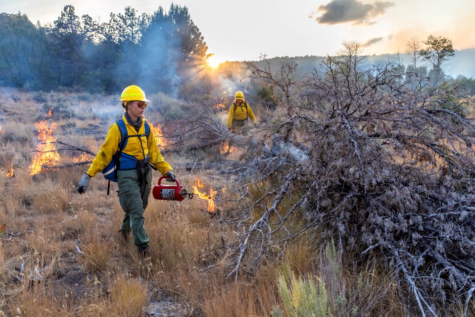 Blacklining the Trout Springs Rx Fire