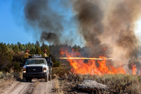 Trout Springs Rx Fire photo