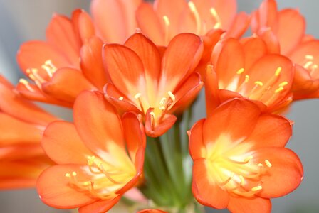 Spring summer bouquet