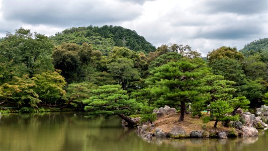 Japanese Gardens photo
