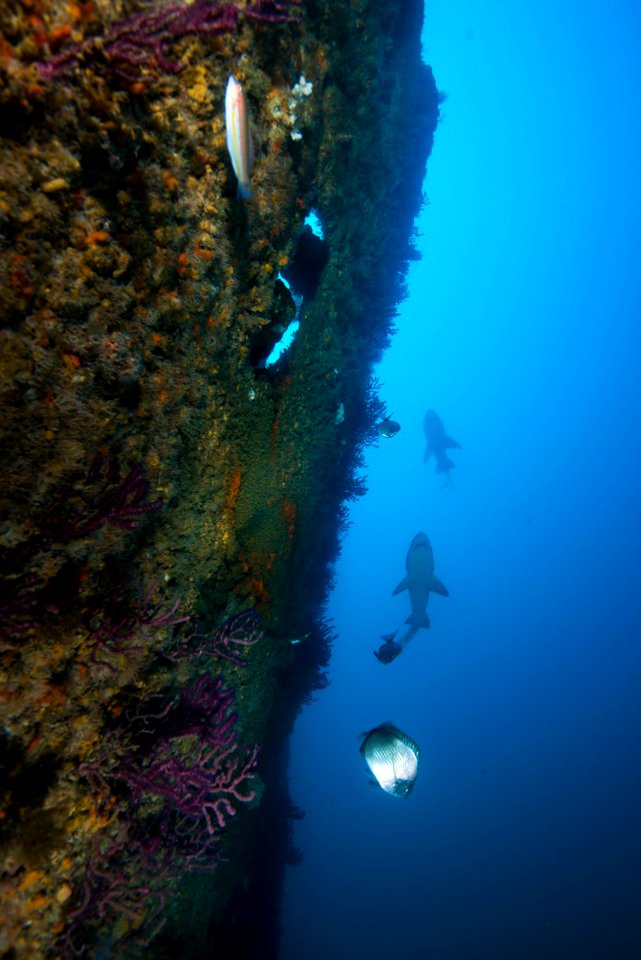 MNMS Underwater