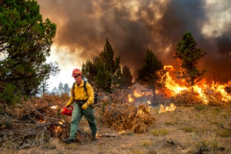 Trout Springs Rx Fire photo