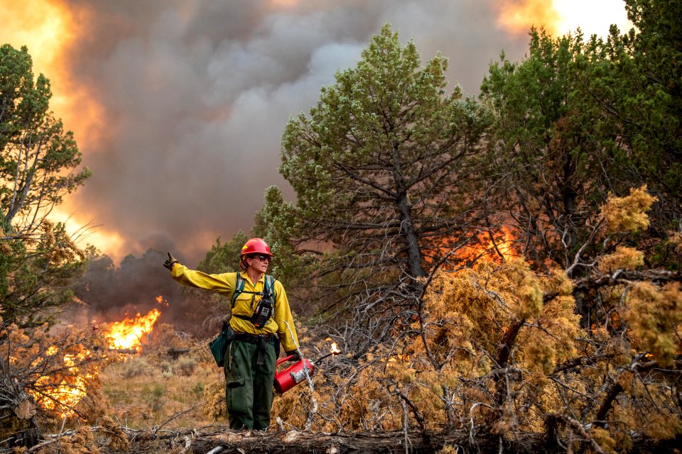 Trout Springs Rx Fire