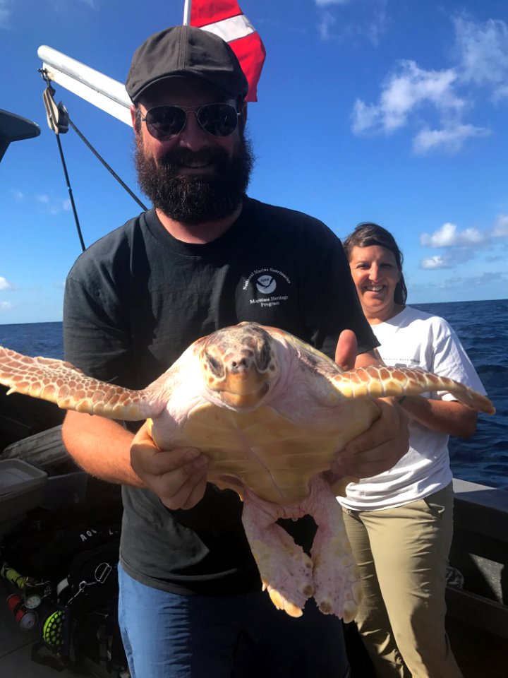 MNMS -- Joe Hoyt With Rehabbed Loggerhead