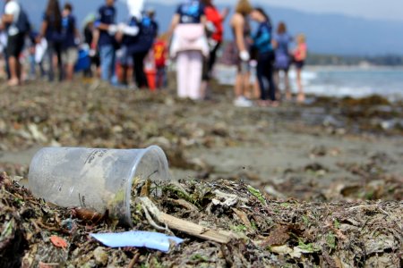 Misc. marine debris
