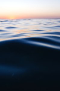 Unsplash week of March 20 2017