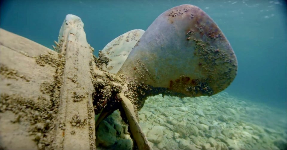 TBNMS invasive mussels photo