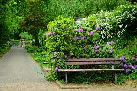 Park graves silent