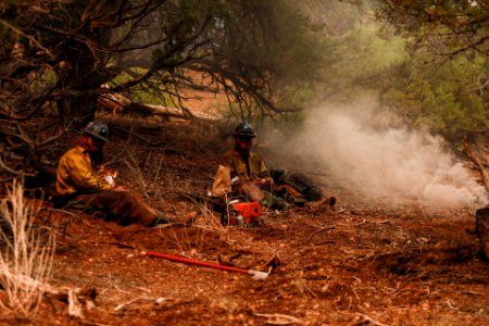 Short respite for the Ruby Mountain Crew while cutting fire line in Division W
