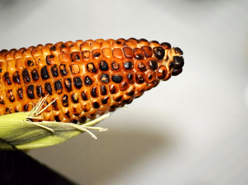 Tasty grain vegetarian