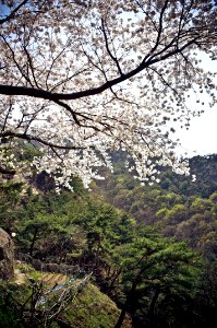 DSCF0517