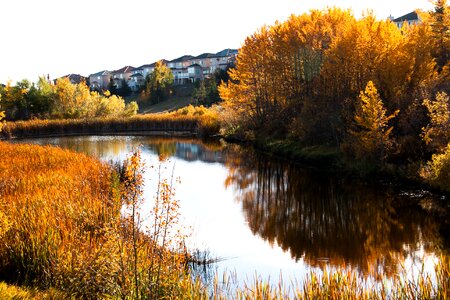 River water reflection photo