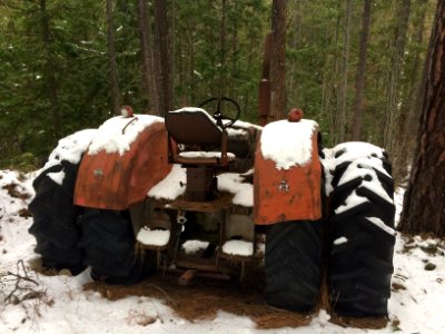 Old tractor in the woods