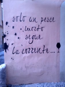 Anche i muri parlano