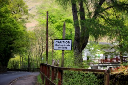 Caution 2