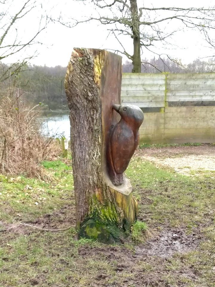 Brereton Wood Sculpture.