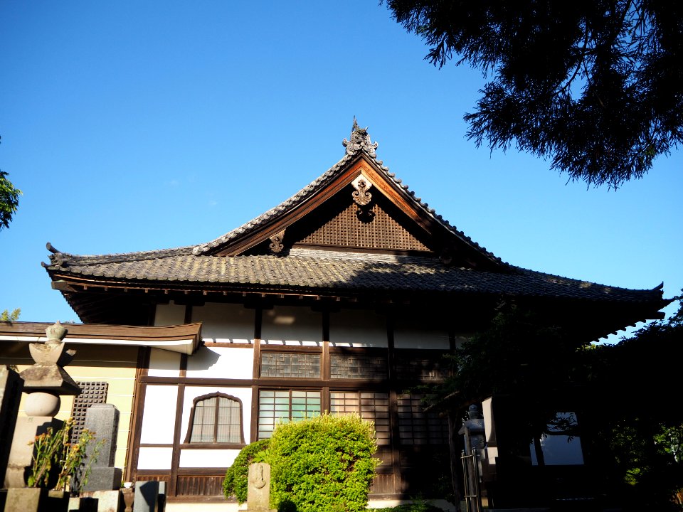 P6012946