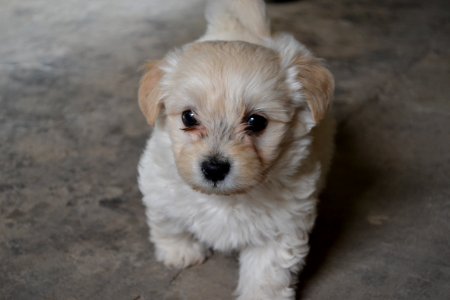 1 month