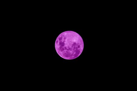 pink moon