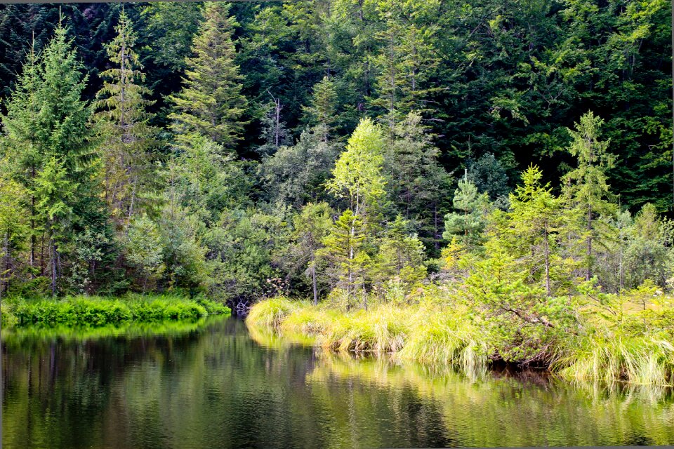 View of the lake reflection in the water nature
