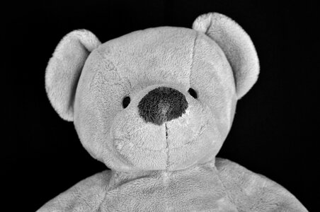 Stuffed animal portrait soft