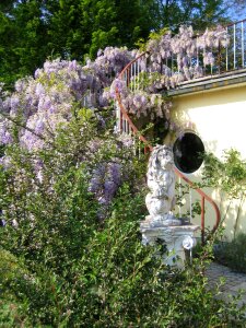 Summer purple flower filigree photo