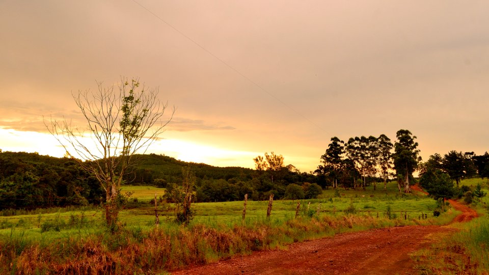 camino al ocaso