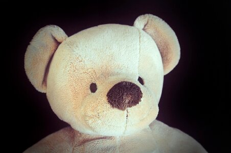 Soft toy stuffed animal portrait