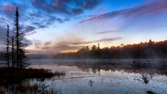 Beaver Pond photo