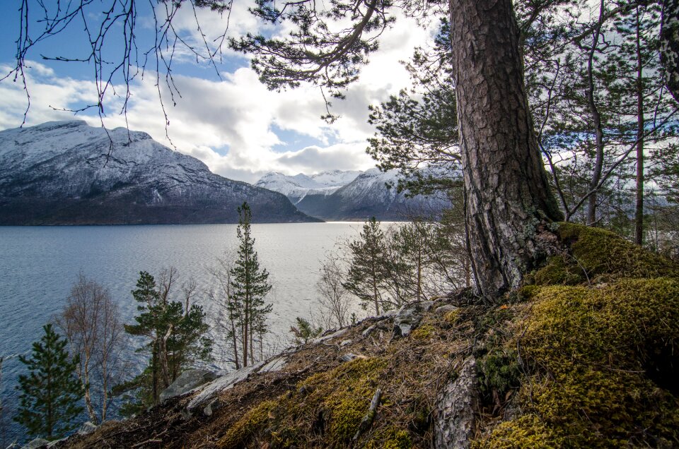 Landscape view rock