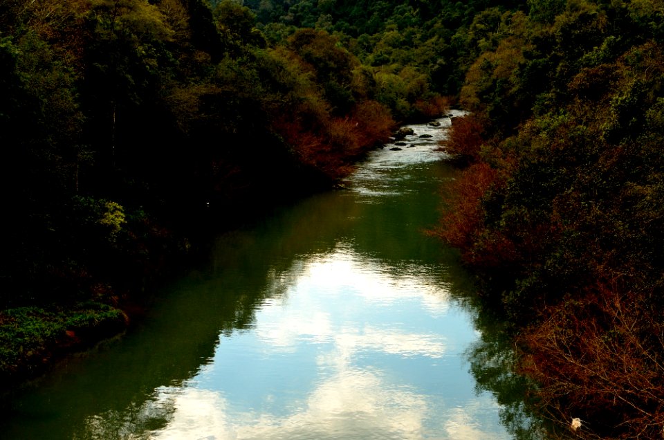  DSC4749