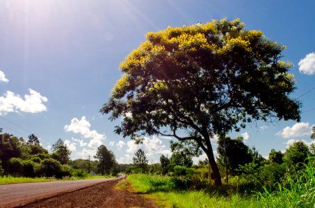 Rutas de mi tierra