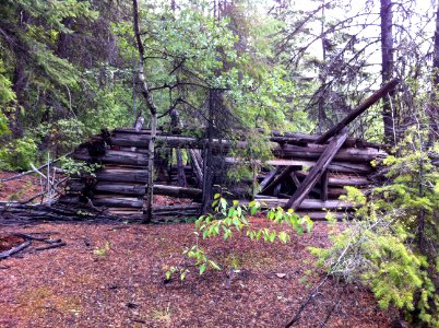 Camp Wellington