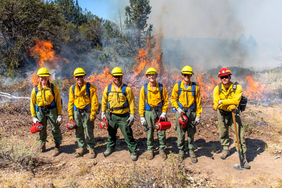 Trout Springs Rx Fire